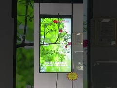 дисплей окна